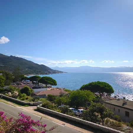 With Sea View And Pool Ideally Located * Ajaccio (Corsica)